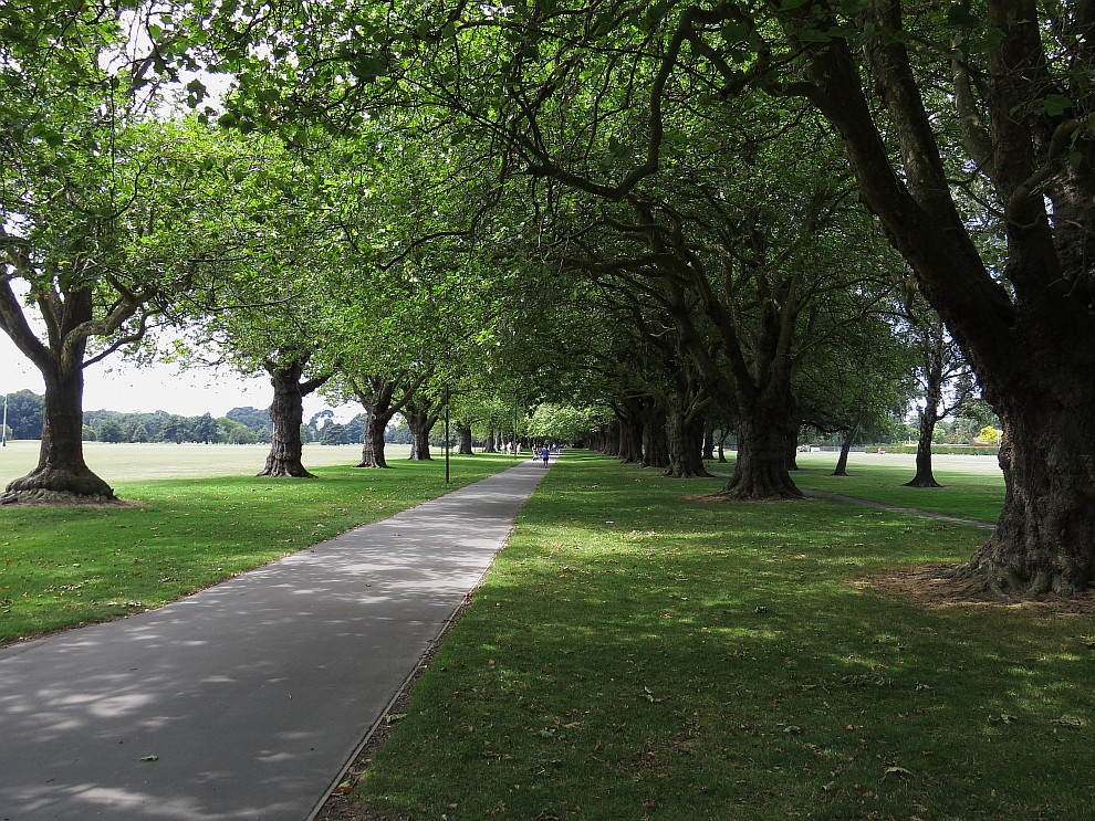 Hagley Park in Christchurch